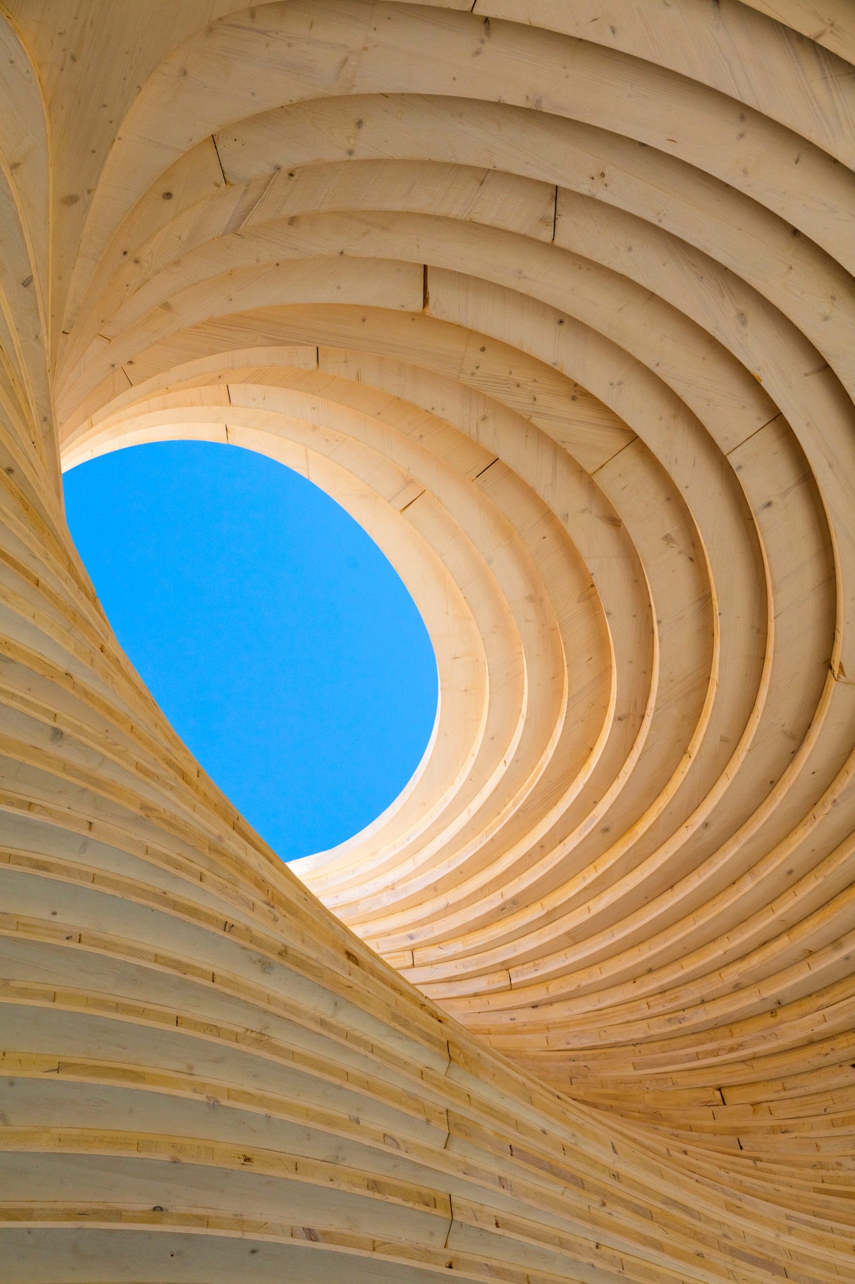 Mill River Park Carousel Pavilion by Gray Organschi Architecture