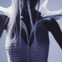 Dragonfly 3D Printed Dress - Parametric Architecture