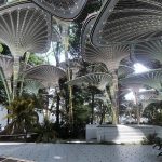 The Misty Oasys by Mask Architects: Under the Mushroom Canopies