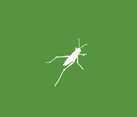 Grasshopper 3D