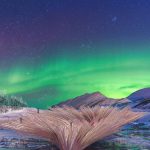 Kale Systems - Eco-Parametric Structures