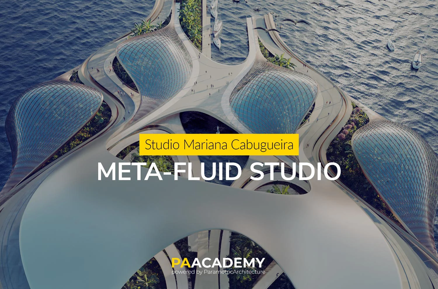 Meta-Fluid Studio - Mariana Cabugueira