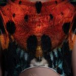 Setae, A 3D Printed Wearable By Julia Koerner Inspired By Butterfly Wings