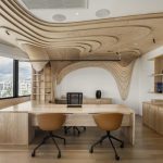 Organic forms and clean lines: Office Renovation by Tenon Architecture