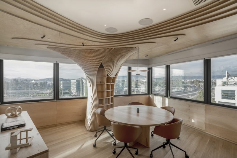 Organic Forms And Clean Lines Office Renovation By Tenon Architecture