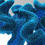 Pufferfish: Upscaling architecture through its intricacies