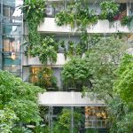 Why should architects embrace decarbonization to build a sustainable future?