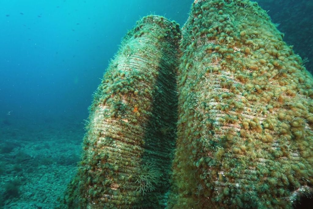  © 3D printed reef, Monaco