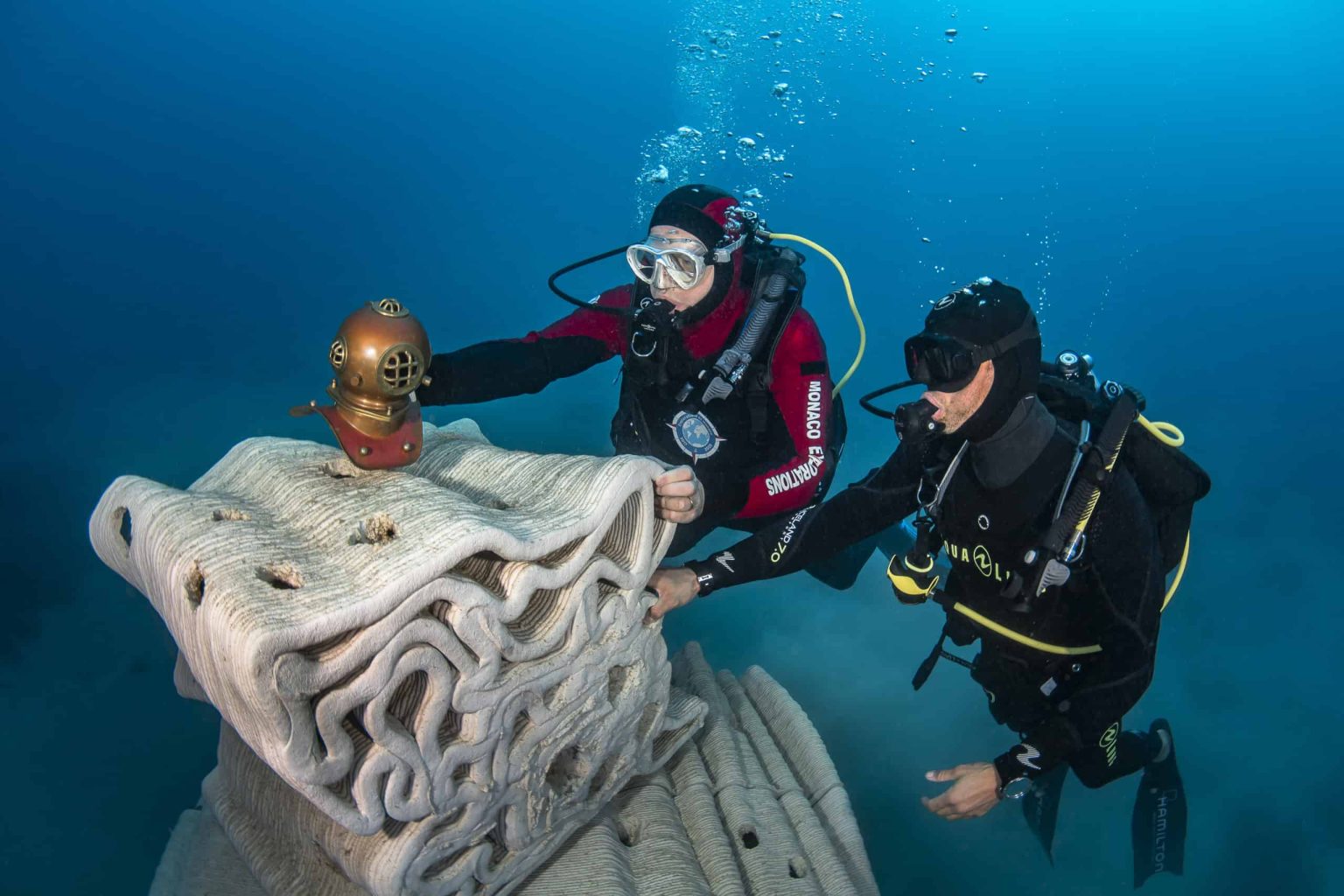 printed artificial reefs to restore coral ecosystems Biology Diagrams