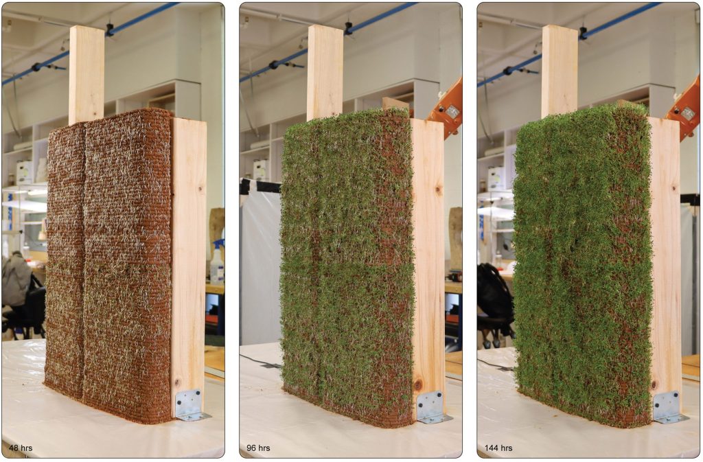 The University of Virginia is 3D printing living structures that plants can grow on