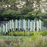 Benchakitti Rain Forest Observatory provides a brand-new well-being lifestyle