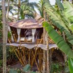 Pablo Luna Studio's Tree House inspired by the Ubud jungle