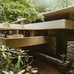 Organic Architecture