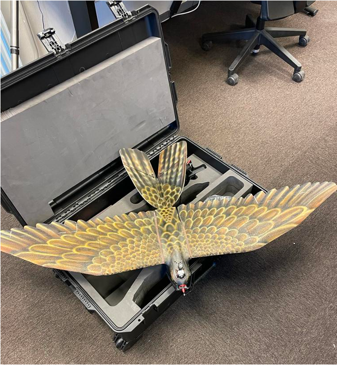  Drone Bird Company