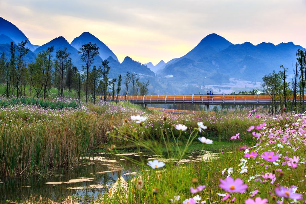 Minghu Wetland Park