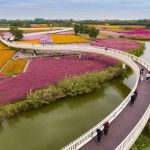 Santai Shan Forest Park, a skywalk above the colorful fields by Turenscape