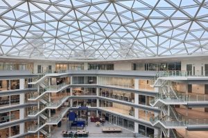 Transforming cities with green roofs and facades