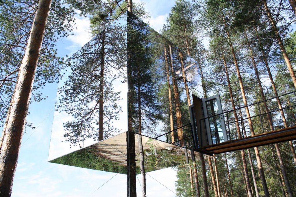 treehouses 