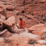 NEOM has partnered with Getty Images and Unsplash to create an extensive visual library