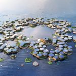 Rising Above: Exploring the potential of floating city concepts