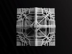 Southeast-University-3D-printed-formworks-3