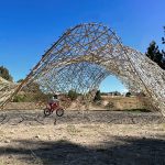 Colihue Nest creates spaces with identity, accessibility, and lasting value