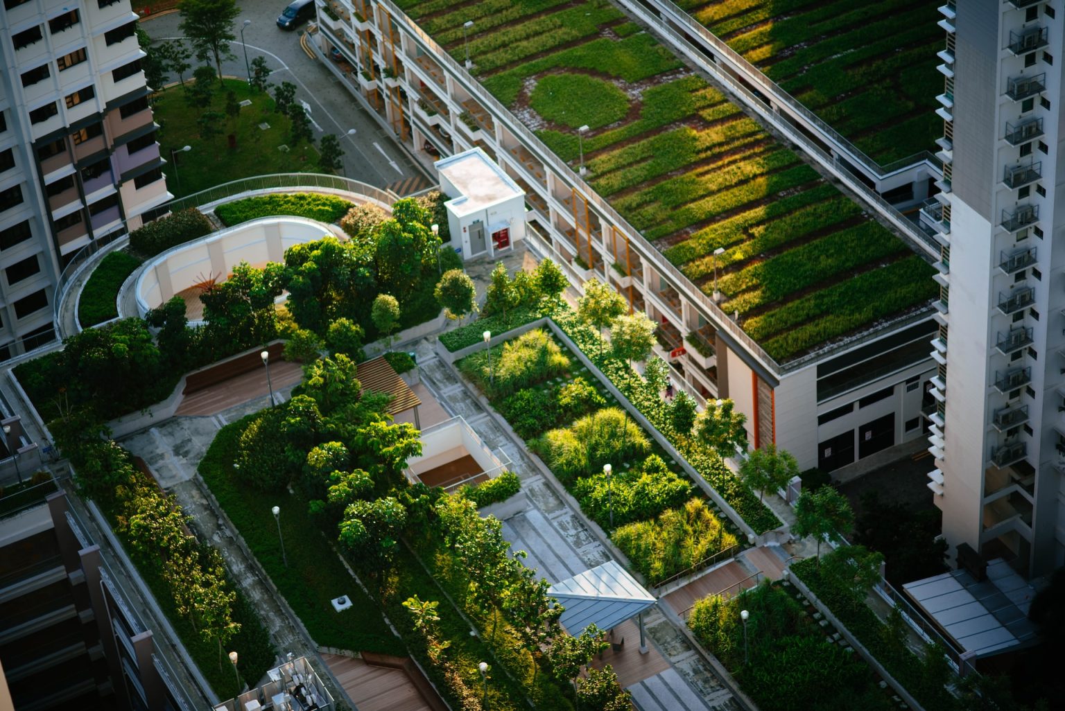 Vertical gardens in skyscrapers: Future of sustainable urban living?