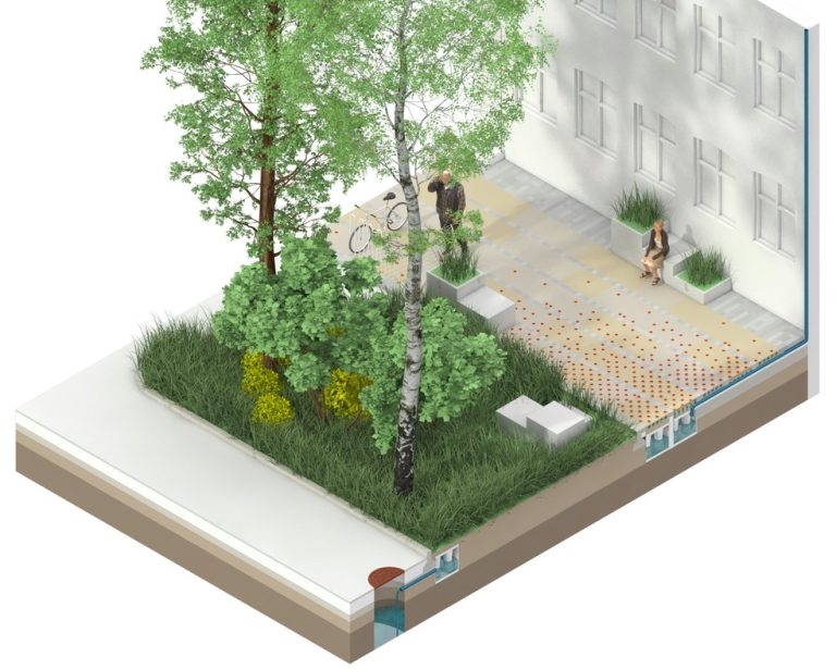 Designing with Purpose: Rainwater harvesting