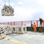 Turkiye completes its first 3D-printed artificial reef project