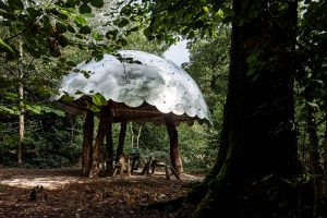 Green Woodworking Shelter-1