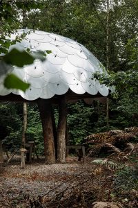 Green Woodworking Shelter-2
