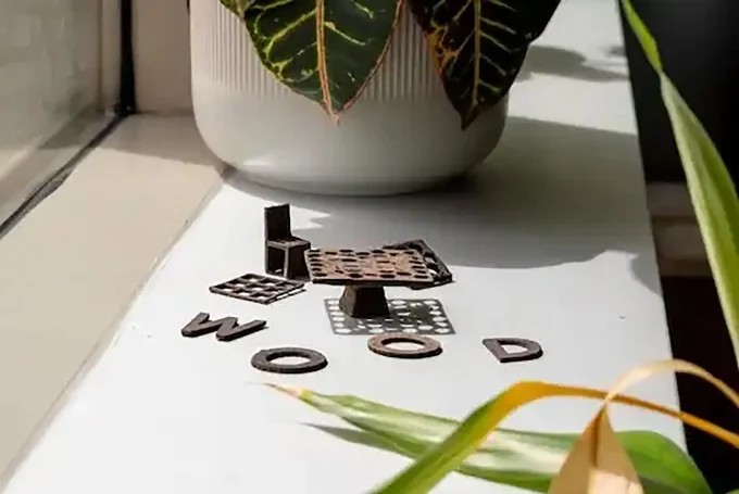 3D Printed Wood Ink