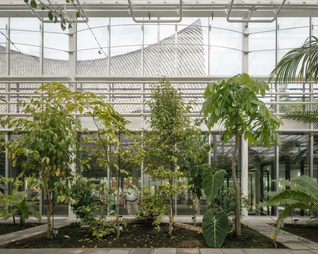 Green Ark, an Endangered Plant Sanctuary in the Heart of Meise Botanical Garden 6 Green Ark, an Endangered Plant Sanctuary in the Heart of Meise Botanical Garden