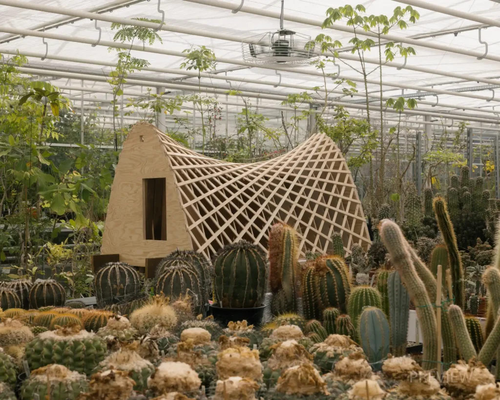 Green Ark, an Endangered Plant Sanctuary in the Heart of Meise Botanical Garden 5 Green Ark, an Endangered Plant Sanctuary in the Heart of Meise Botanical Garden