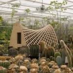Green Ark, an Endangered Plant Sanctuary in the Heart of Meise Botanical Garden