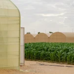 National Pavilion UAE At The Biennale Architettura 2025 Announces Pressure Cooker
