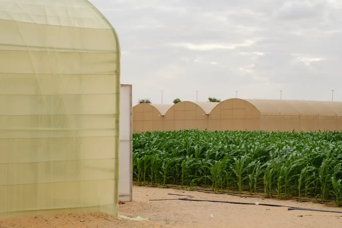 National Pavilion UAE At The Biennale Architettura 2025 Announces Pressure Cooker