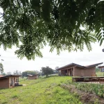 Regenerative Architecture