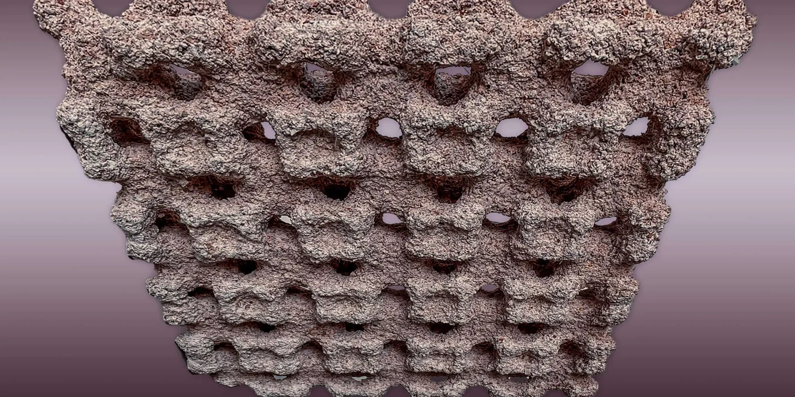 ETH Zurich Develops Sustainable 3D-Printed Walls for Passive Humidity Control