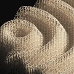 Parametric Explorations, Bryan GarcĂa Agudelo