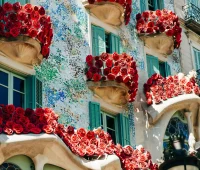 Blossoming Designs: How Flowers Inspire Architectural Innovation