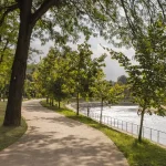 PRÁCTICA’s Somes River Regeneration Project