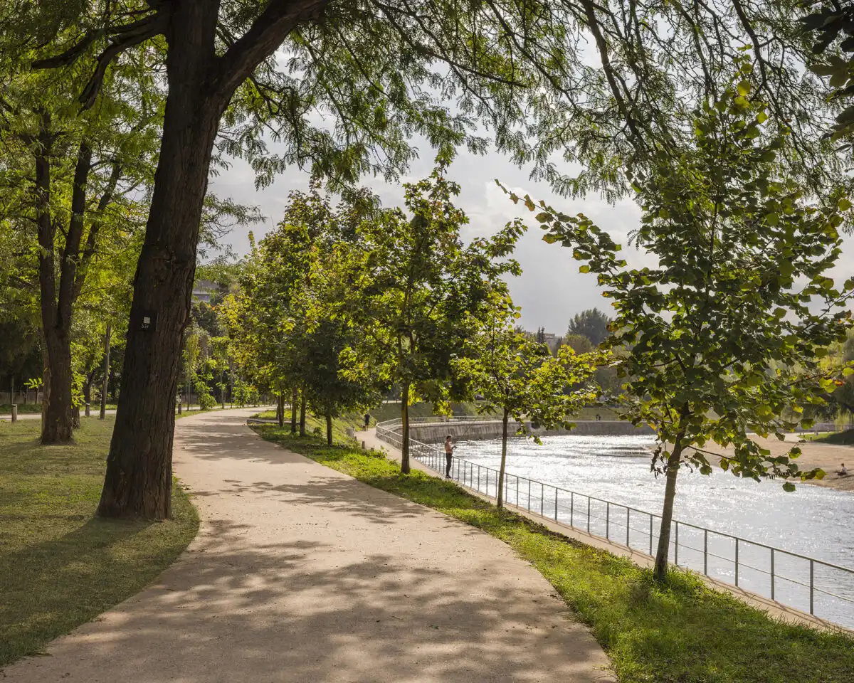 PRÁCTICA’s Somes River Regeneration Project Revives Urban Ecosystem 5 PRÁCTICA’s Somes River Regeneration Project