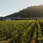 BIM and Sustainability – A Valuable Relationship that Enriches Architecture Today