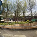 Wooden Wave Benches at Mission Bay by TS Studio