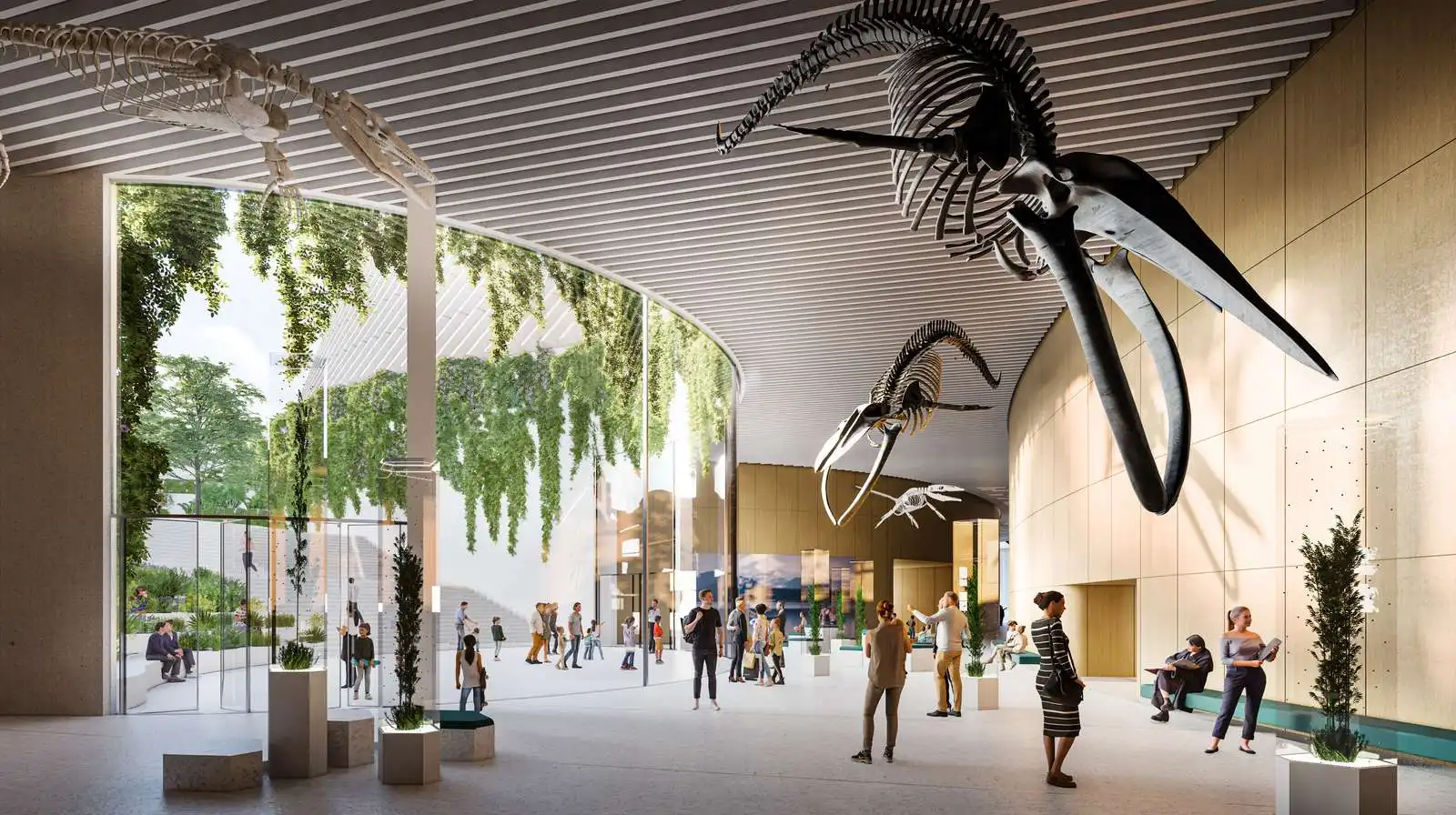 3XN, B+H and Zhubo's Shenzhen Natural History Museum Tops Out in China 11 3XN, B+H and Zhubo's Shenzhen Natural History Museum Tops Out in China