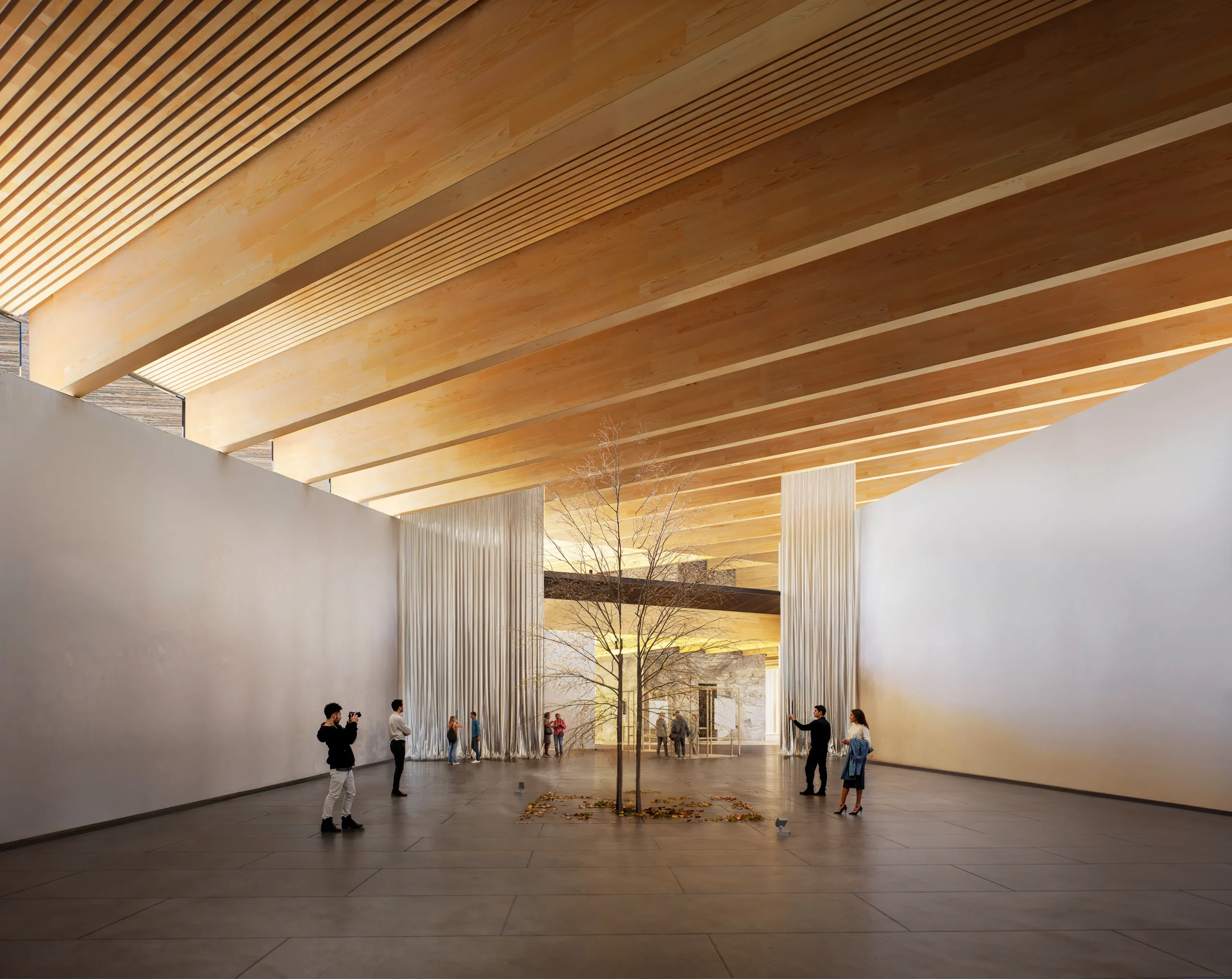 BIG Wins International Competition To Design The New Hungarian Natural History Museum 6 BIG Wins International Competition To Design The New Hungarian Natural History Museum