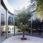 Al Mujadilah in Qatar by DS+R, World’s First Mosque Complex exclusively for Women