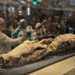 Grand-egyptian-museum