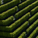 Europe’s Largest Green Facade Kö-Bogen II